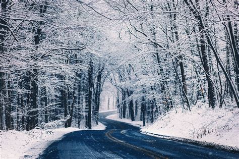 Wallpaper Trees Landscape Forest Road Frost Freezing Tree