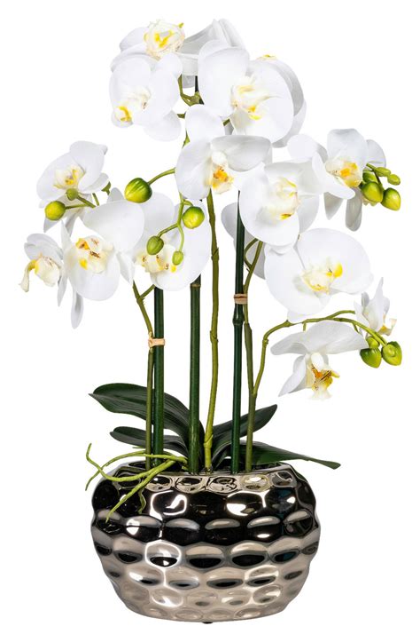 Orchidee weiß Kunststoff H ca 55 cm online bei POCO kaufen