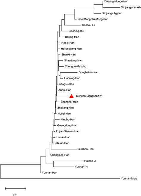 Phylogenetic Tree Displaying The Genetic Relationships Between The