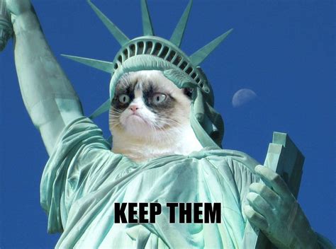 Download Grumpy Liberty Statue Funny Meme Wallpaper | Wallpapers.com