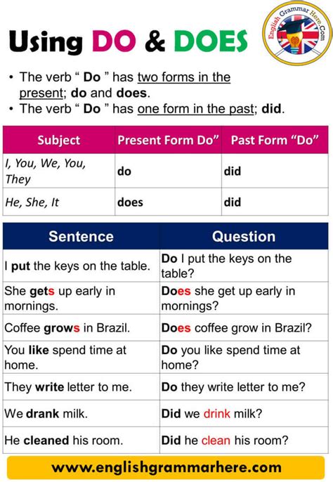 Using Do And Does Definition And Example Sentences English Grammar Here