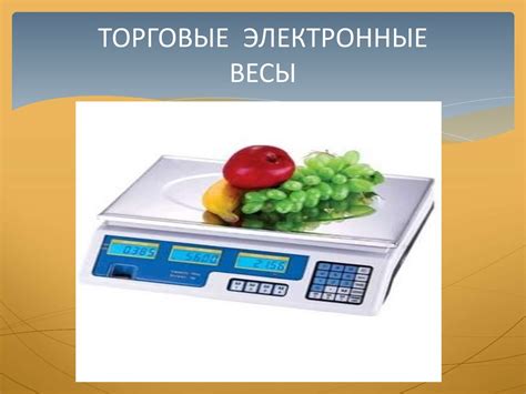 Весы и их разновидности. типы, виды, классификация весов