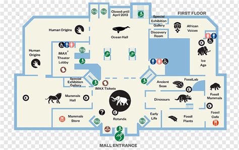 New York Museum Of Natural History Floor Plan | Viewfloor.co