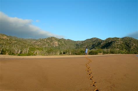 Passos na areia foto de stock Imagem de homem areia céu 292642