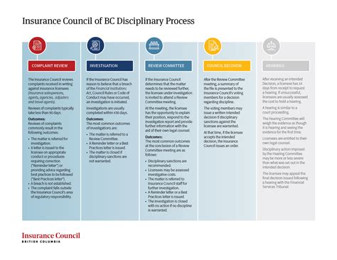 Disciplinary Process Map