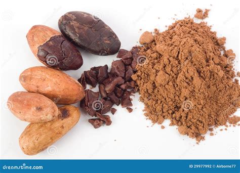 Cocoa Beans Stock Photography - Image: 29977992