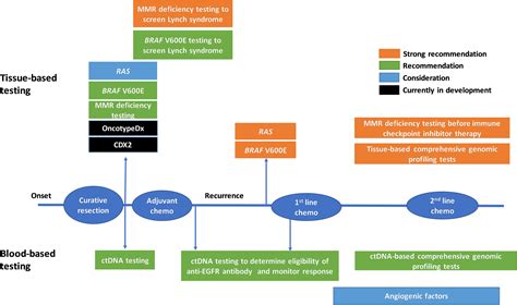 Japanese Society Of Medical Oncology Clinical Guidelines Molecular