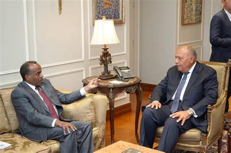 Egypt Firmly Backs Somalia S Sovereignty Fm Shoukry To Somali