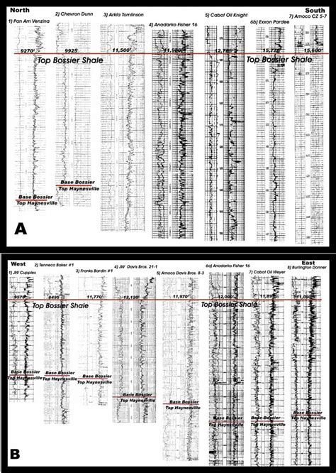 A North South Stratigraphic Cross Section Showing The Cored Wells