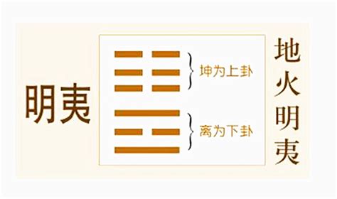 六爻六十四卦之地火明夷卦详解，周易64卦第36卦地火明夷卦解卦 易师汇传统文化