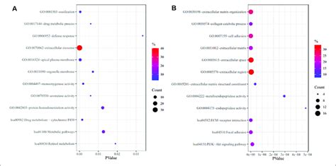 Go Annotation And Kegg Pathway Enrichment Analysis Of Upregulated