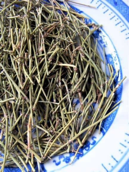 Herba Ephedrae Ephedra 麻黃