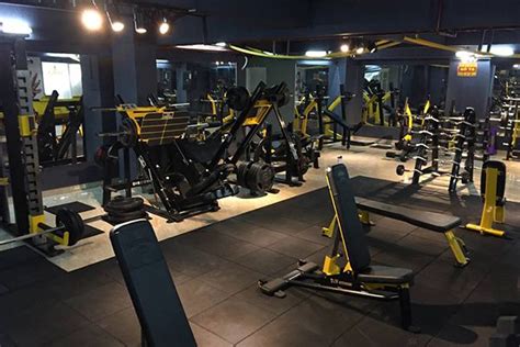 Phòng Tập Gym Quận 7 Chuyên Nghiệp Hiện đại Và Giá Rẻ Nhất