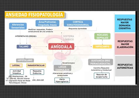 Farmacolog A Sistema Nervioso Central Pdf