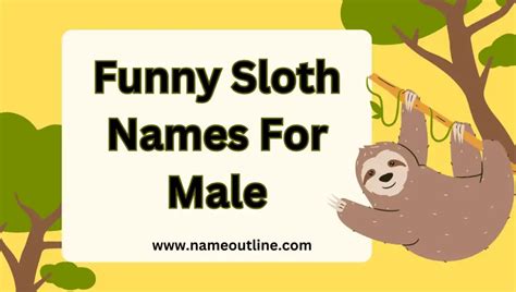 Slothful Charm: Unveiling The Hilarity Of Funny Sloth Names - Name Outline