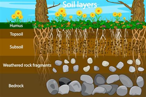 Couches De Terrain Graphique Pour La Couche De Sol Plan De Couche De