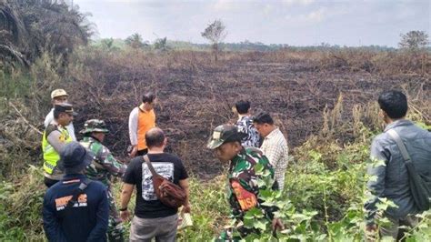 Puluhan Hektare Lahan Di Muaro Jambi Terbakar Sepanjang