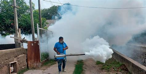 Contin A Jornada De Fumigaci N Contra El Dengue En El Distrito Central