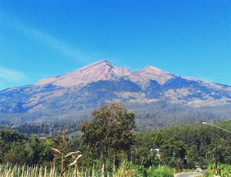 Gunung Merbabu Kebakaran 400 Hektare Area Hutan Hangus