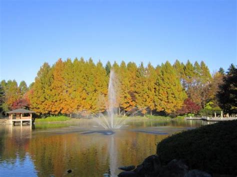 【栃木県中央公園】の紅葉時期、見頃 2023