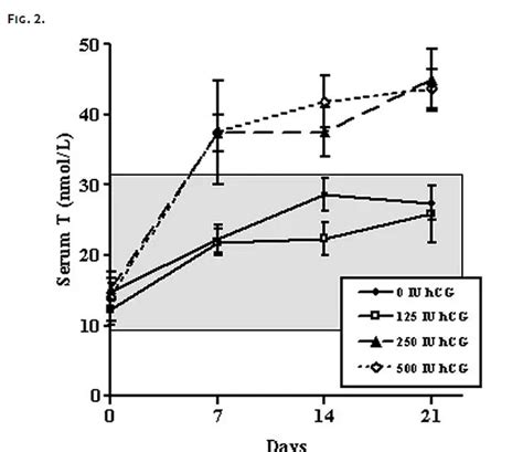 Hcg For Men How To Use It To Enhance Testosterone Levels