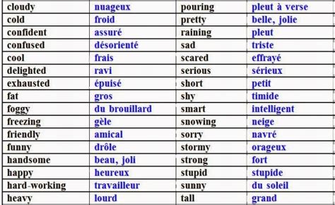 20 Most Used And Common Adjectives In French Les 20 Adjectifs Les Plus Utilises En Francais