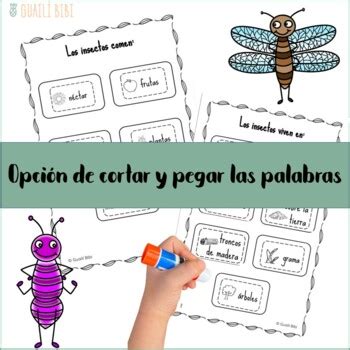 Mi Libro De Los Insectos My Insect Book In Spanish By Guaili Bibi