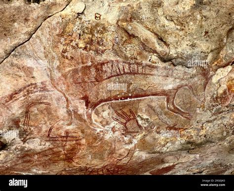 Gwion Gwion Era Aboriginal Rock Art In The Kimberley Region Of