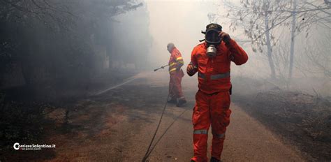 Ore L Inferno In Terra Distrutti Ettari Di Bosco E Pineta