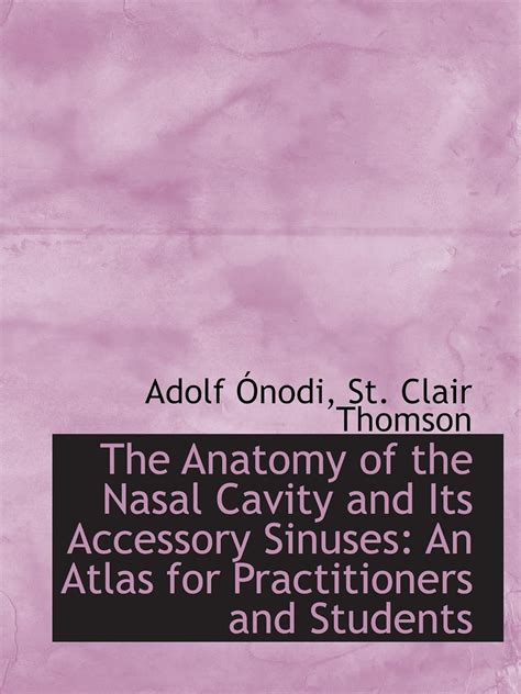 The Anatomy Of The Nasal Cavity And Its Accessory Sinuses