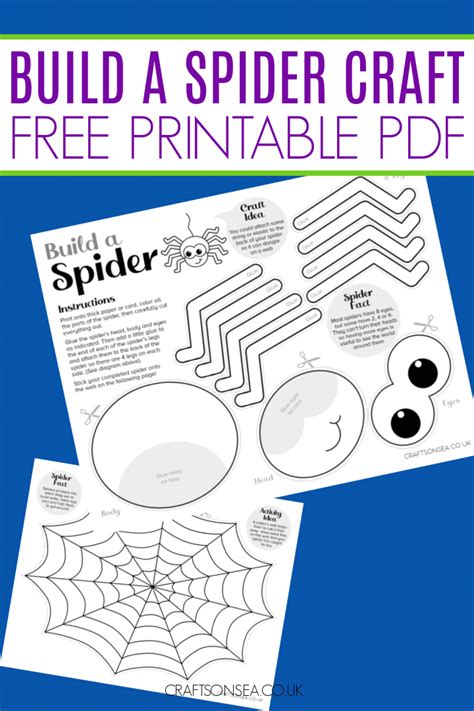 Preschool Spider Web Template