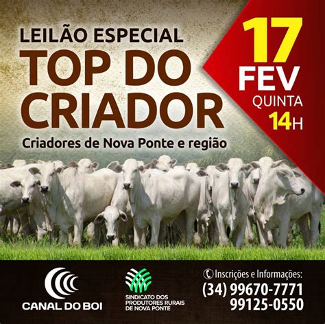 Leil O Especial Top Do Criador Criadores De Nova Ponte E Regi O Em