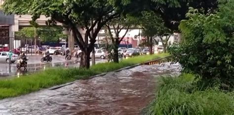 Temporal Alaga Vias E Derruba Rvores Em Ribeir O Preto Sp V Deo