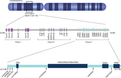 Figure Single Nucleotide Polymorphisms Snps In Parkinsons