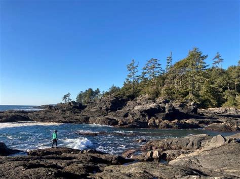 Port Renfrew Camping: 9 Great Campgrounds | Routinely Nomadic