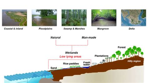 Everything On Ramsar Convention Wetlands In India Upsc Ias Cds