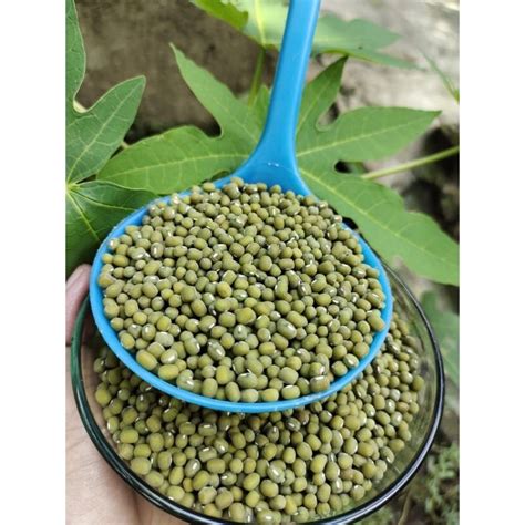 Jual Kacang Hijau Ijo Organik Kualitas Super Kg Shopee Indonesia