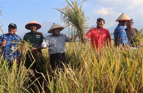 Bupati Semarang Ajak Petani Gunakan Pupuk Organik Minanews Net