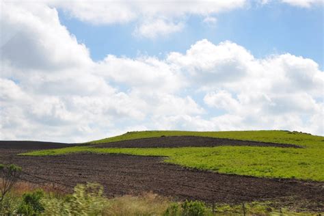 A Quem Interessa Que Os Campos Nativos Sejam Riscados Do Mapa E