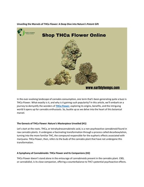 PPT Unveiling The Marvels Of THCa Flower 1 PowerPoint Presentation