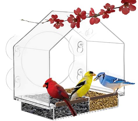 10 Best Window Dove Bird Feeders For Easy Viewing And Feeding