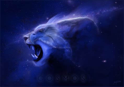 COSMOS :: Behance