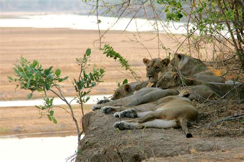 √ National Parks Zambia