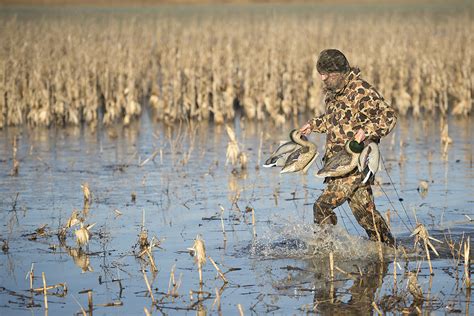 Waterfowl Hunting Regulations Updated At Boatwright Wma Kentucky