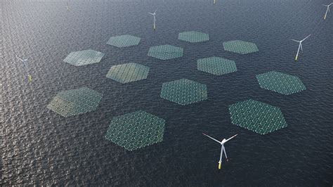 Solarduck And Rwe To Build An Offshore Floating Solar Park In The North Sea