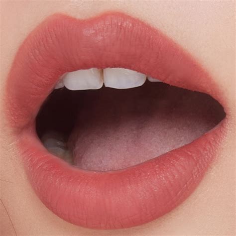 RAN Nude Mood Matte Lip Color ลปสตกรน นด มด แมท ลป คลเลอร ลปรน Shopee Thailand