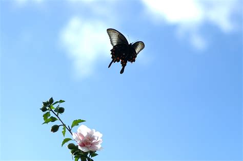 Untitled | mk* | Flickr