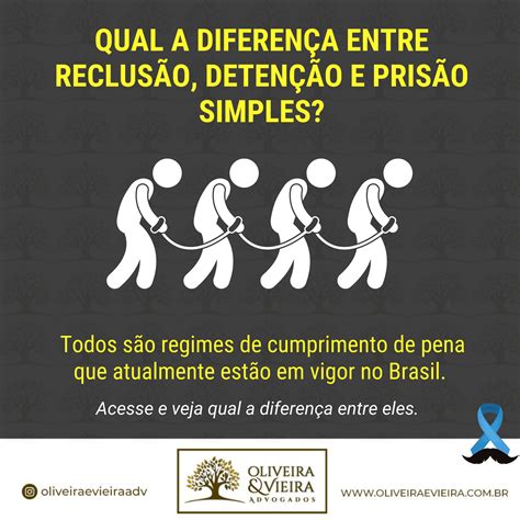 Qual A Diferença Entre Reclusão Detenção E Prisão Simples⁣