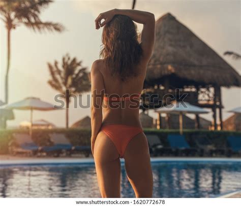 Seductive Next Palm Tree Bikini Royalty Free Images Stock Photos Pictures Shutterstock