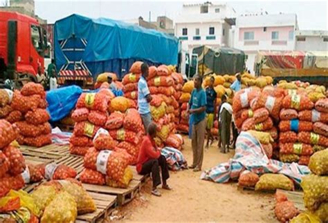 Hausse Prix Oignon Touba Le Service Du Commerce Descend Les